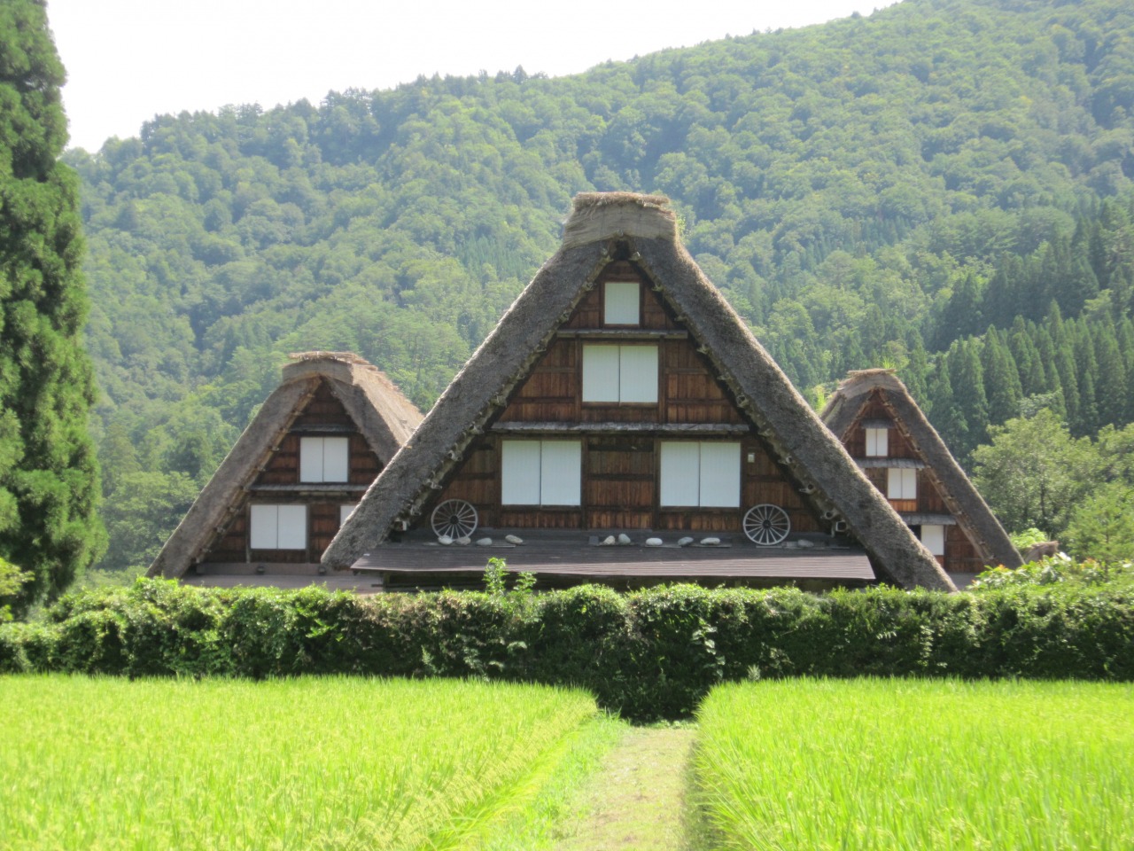 Shirakawa-go and Gokayama World Heritage Village Tour