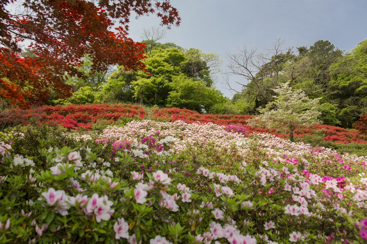 Utatsuyama Park